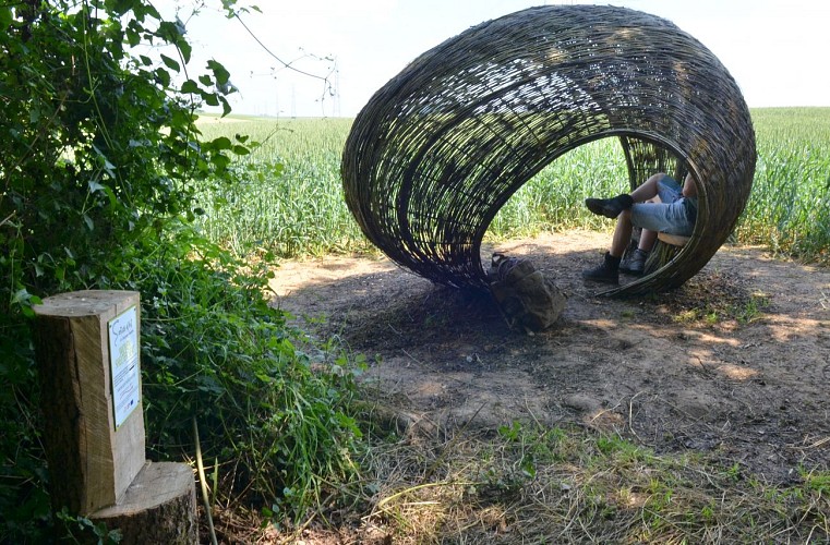 Woven Shelter à Schaltin