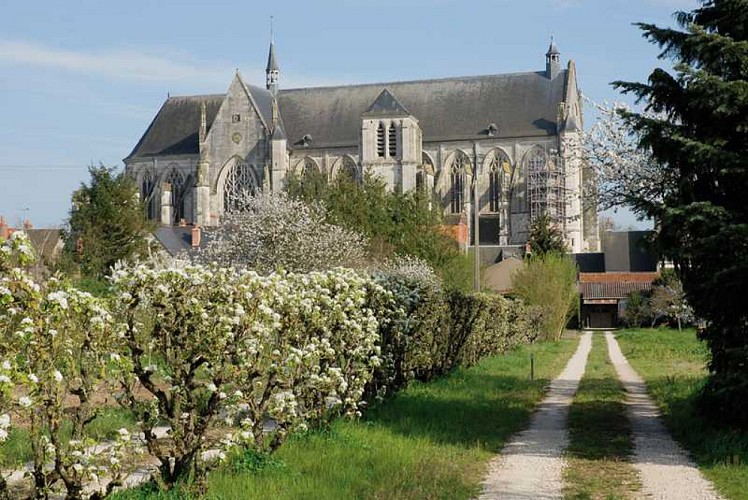 Lus 02 - Tussen wijngaarden en boomgaarden, van de Loire naar de Loiret
