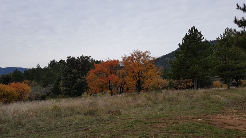 Les couleurs de l'automne