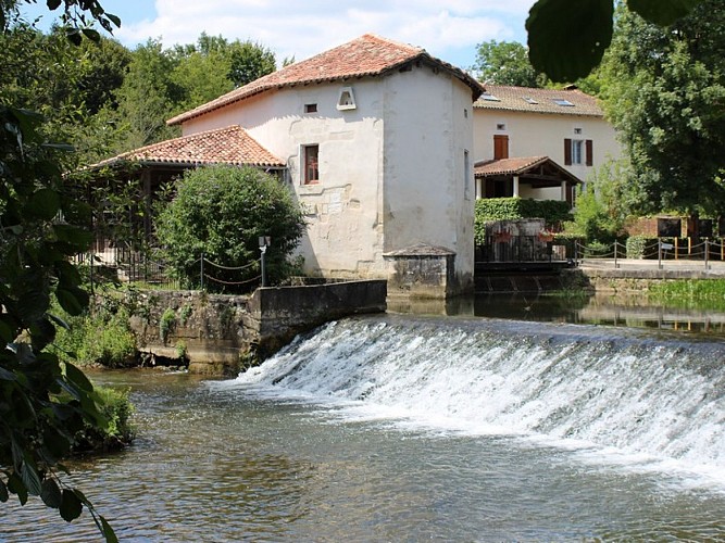 Maison-de-la-Dronne--1-