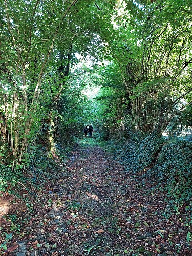 Laz « Les Crêtes »