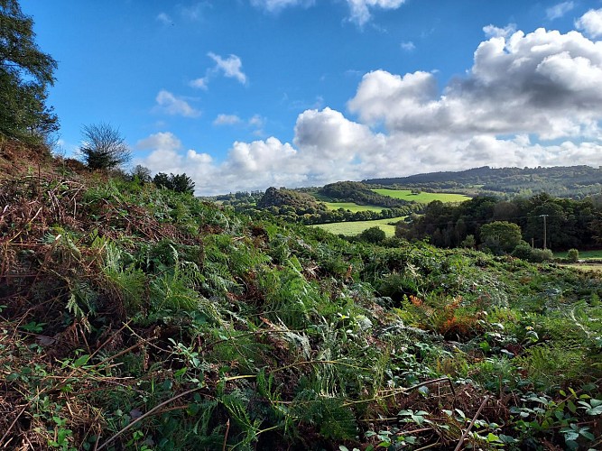 Laz « Les Crêtes »