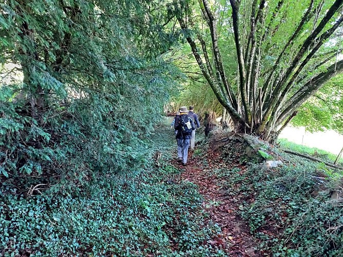 Laz « Les Crêtes »