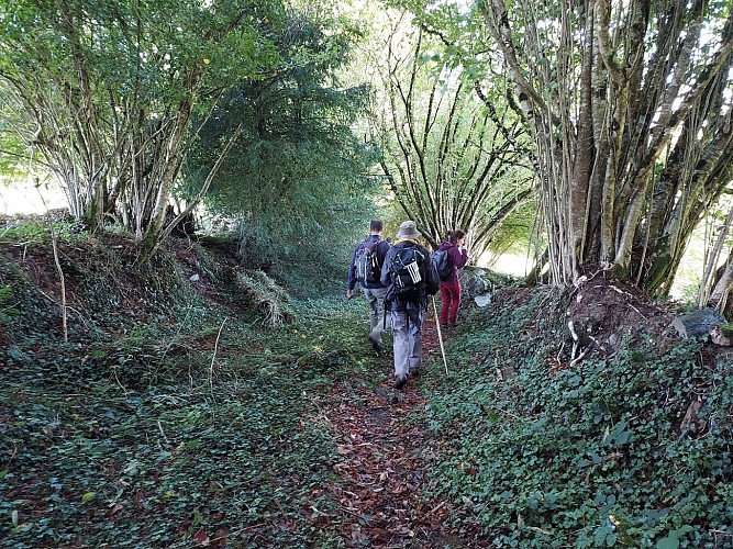 Laz « Les Crêtes »