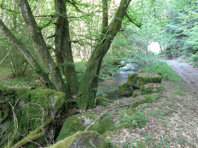Circuit des Pierres de légendes