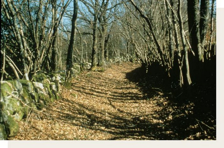 Boucle de l'Argentalet