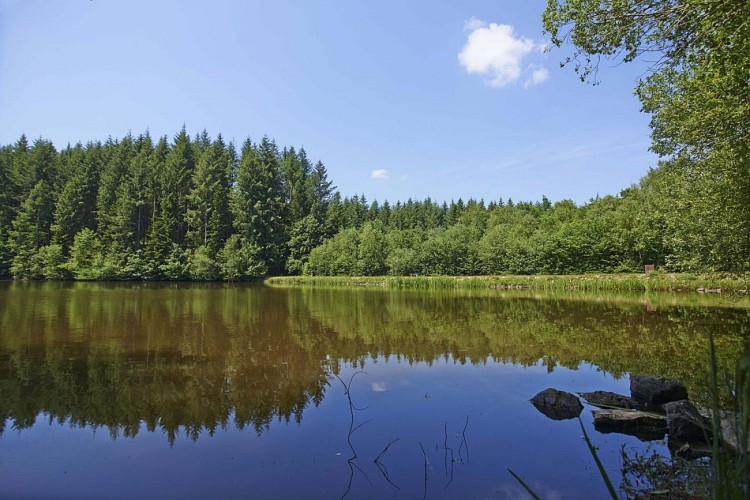 Boucle de l'Argentalet