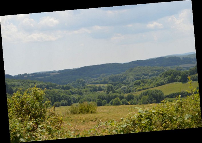 Boucle de Collonchèvres