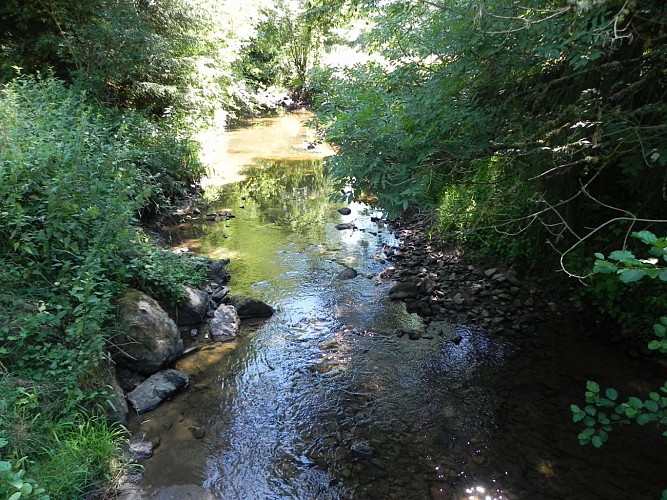 Boucle de la Motte Ternant