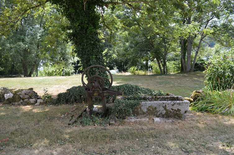 Boucle des Sapins de Noël et de la Biodiversité