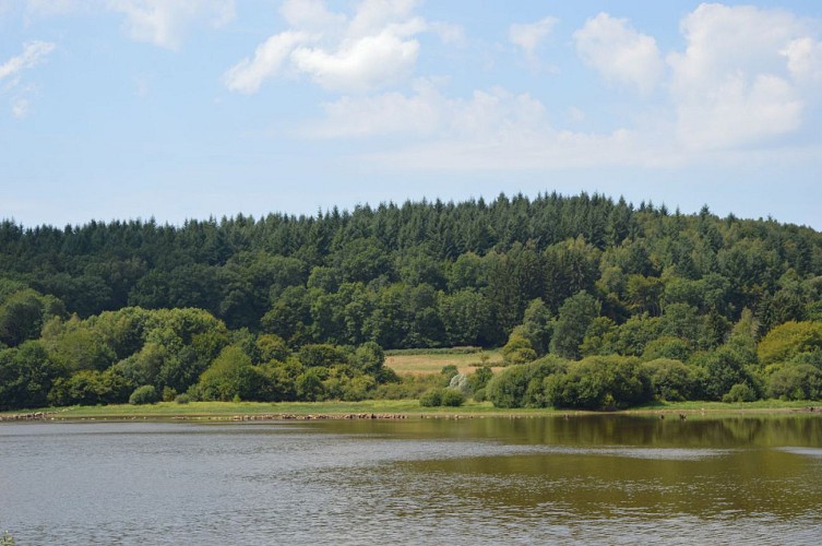 Boucle des Sapins de Noël et de la Biodiversité