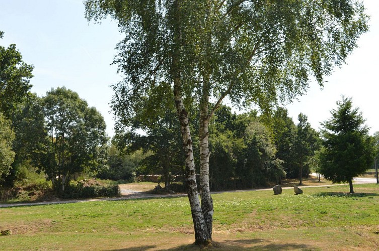 Boucle des Sapins de Noël et de la Biodiversité