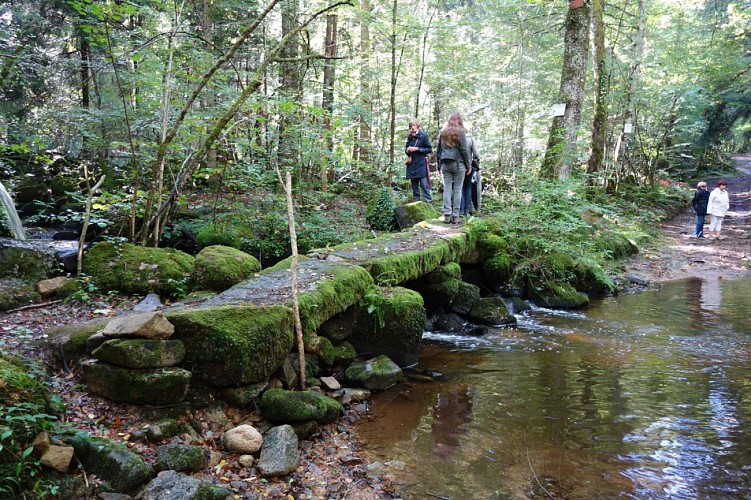 Boucle des Petits  ponts de granit sur la rivière Romanée et pierres de Saint-Martin