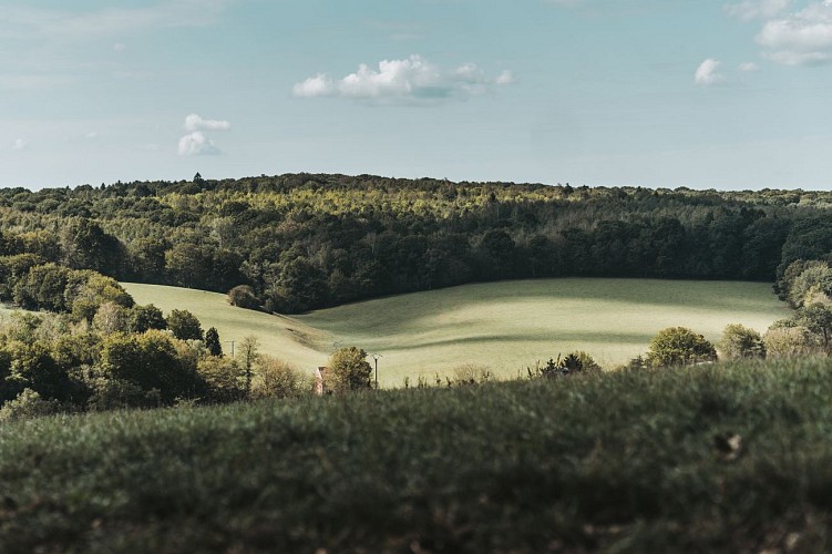 Passing through the Bois de Bruyère forest