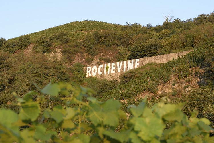 Hike : Rochevine