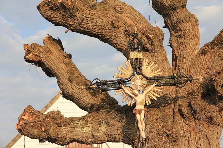 Les marais de Condé-Folie
