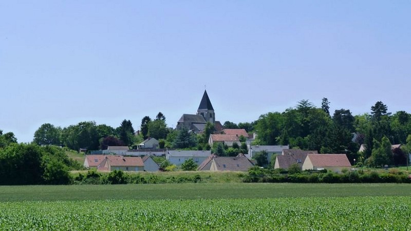Saint-Loup-des-Vignes