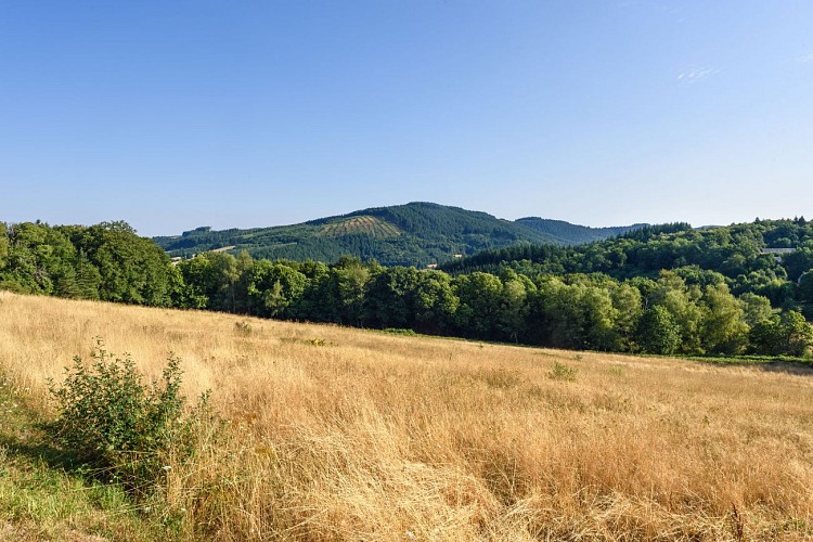 Vue du Mont-Ceix - Chamberet