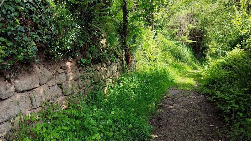 Vestige de talus-mur