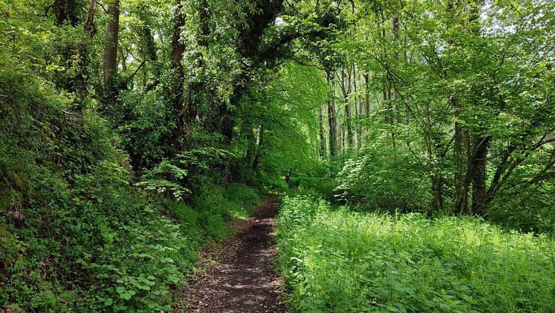 La vallée du Guindy | Cavan