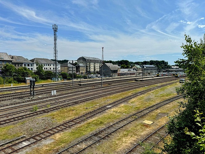 Promenade-citoyenne-libamont©MTFSH TEXTO Pascal Willems (65)