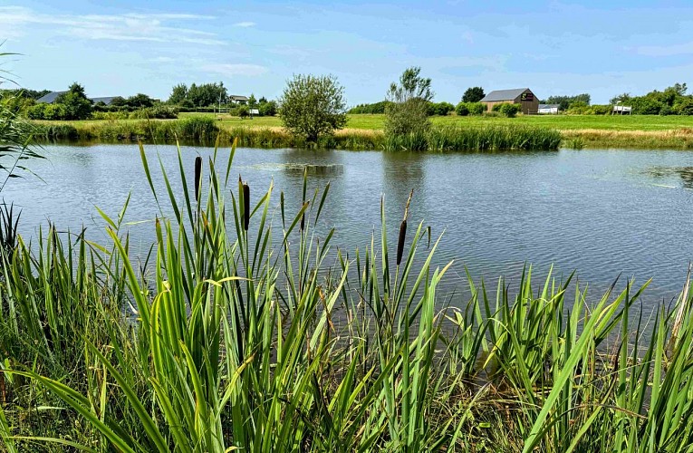 Balade-urbaine©MTFSH_TEXTO_Pascal_Willems_(28)