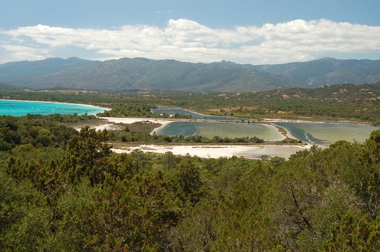 punta_arasu_conservatoir_littoral_corse