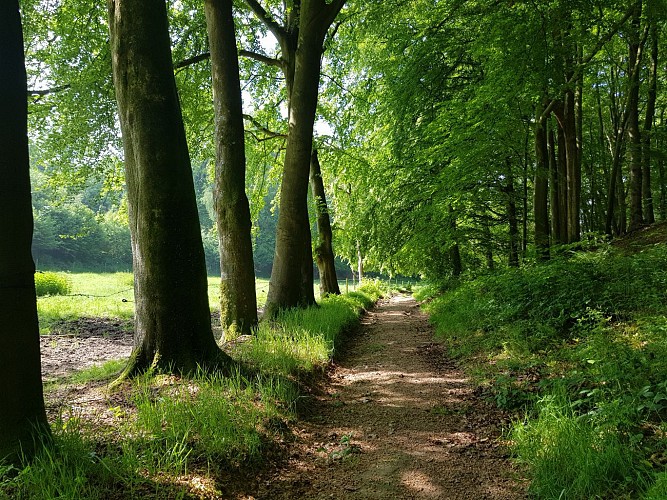 Circuit N°2 : Sur les pas de Jehan Le Povremoyne