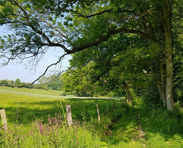 Circuit N°2 : Sur les pas de Jehan Le Povremoyne