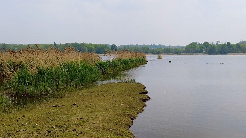 ça roule ? Racour - Zoutleeuw