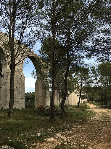 FTT - L'aqueduc de Castries en remontant vers Guzargues 