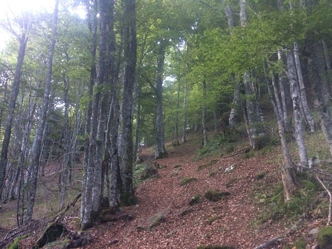 Cabane-Saoubiste4©OTLaruns