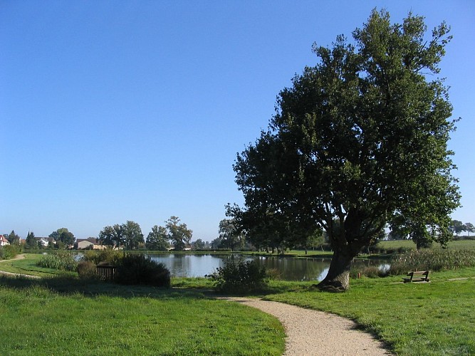 The bike ride of the farm pond