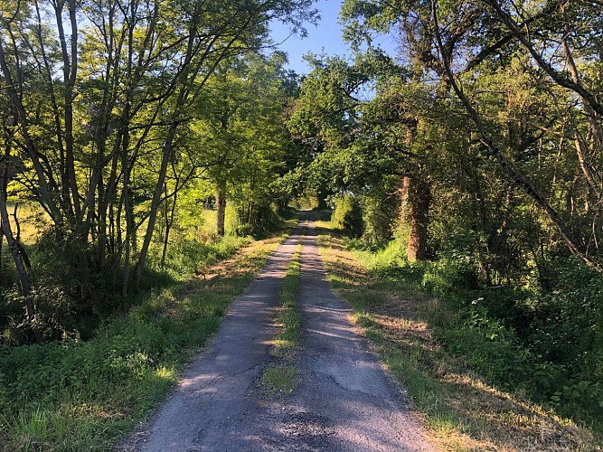 Balade du château de Panessière