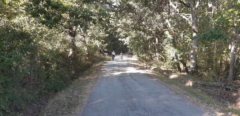 Promenade dans la forêt de Moladier