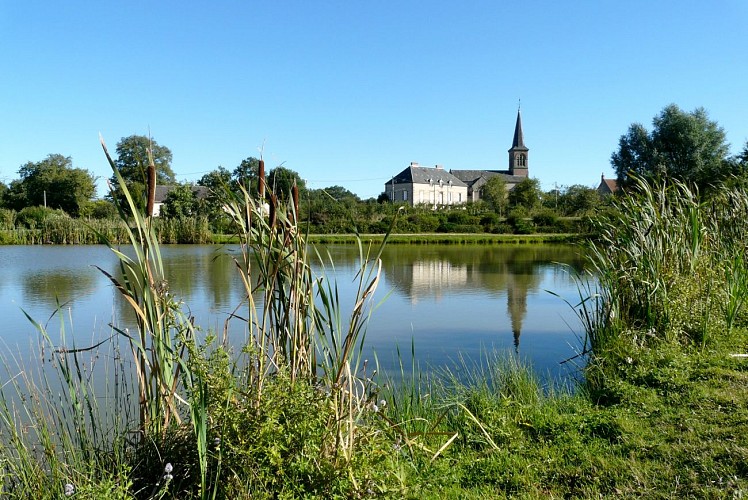 La balade des carpes