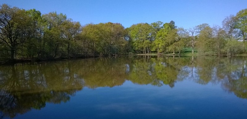 Circuit "Cavaliers des forêts"