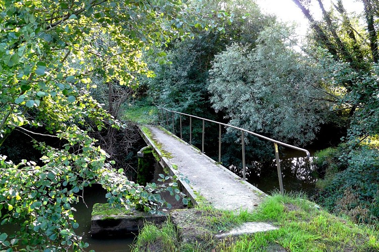 Circuit "Rivières et forêts en Bocage Bourbonnais"