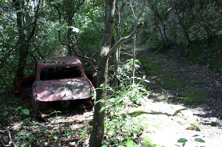 Cabrespine - Roc de l'aigle - grotte du Maquis de Trassanel ( Balisage jaune )