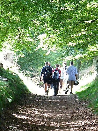 Circuit N° 3 : Le château d'eau "Fleur de Lin"