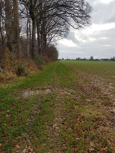 Circuit N° 3 : Le château d'eau "Fleur de Lin"