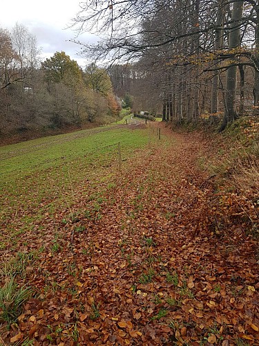 Circuit N° 3 : Le château d'eau "Fleur de Lin"