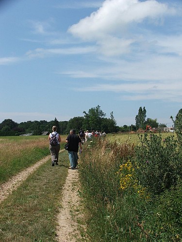 Circuit N°5 : La voie Romaine