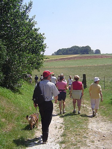 Circuit N° 8 : Le clos des Marnières
