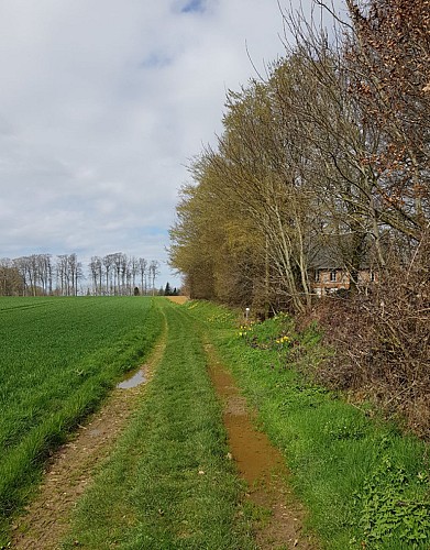 Circuit N° 10 : Les terres de l’Abbaye