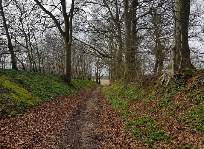 Circuit N° 10 : Les terres de l’Abbaye