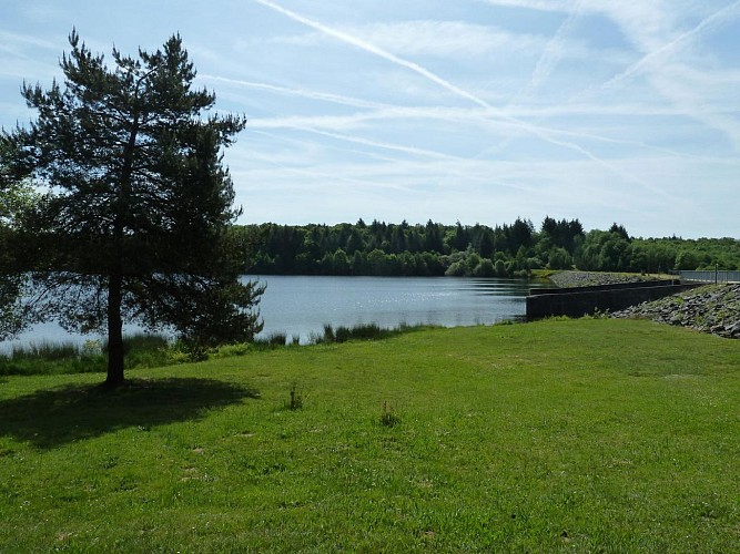 Etang de Miallet