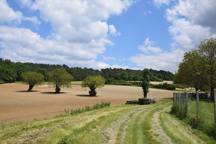 st-germain-du-salembre-auriac