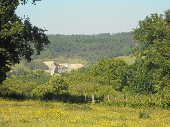 vue château Grignols