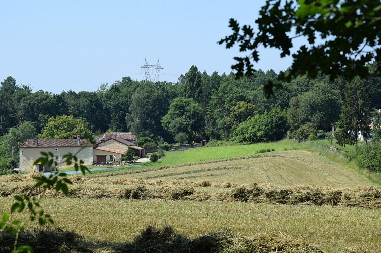 st-leon-boucle-coteux-nord (43)